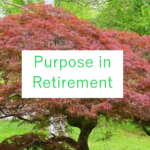 purpose in retirement